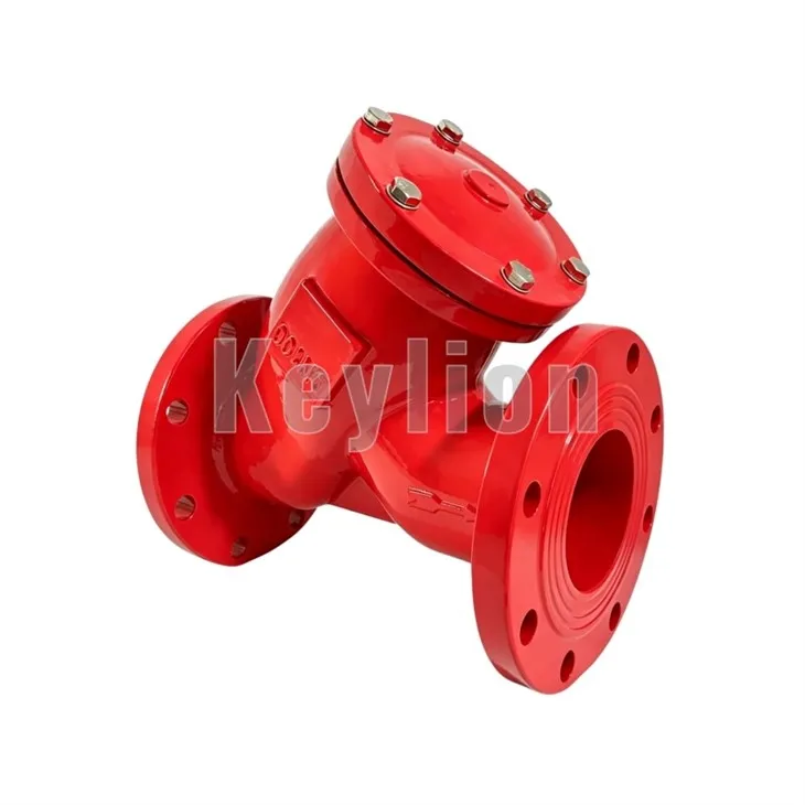 3 Inch Y Strainer