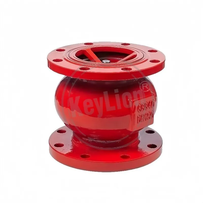 Cast Iron Silent Check Valve