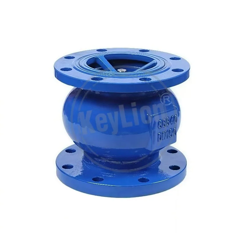 Cast Iron Silent Check Valve