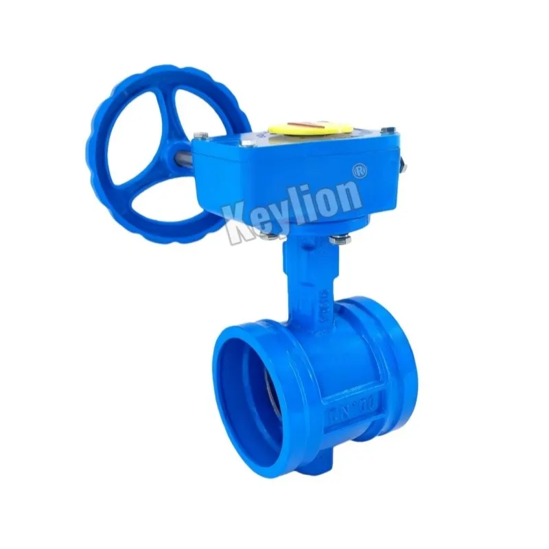 Ductile Iron Butterfly Valve