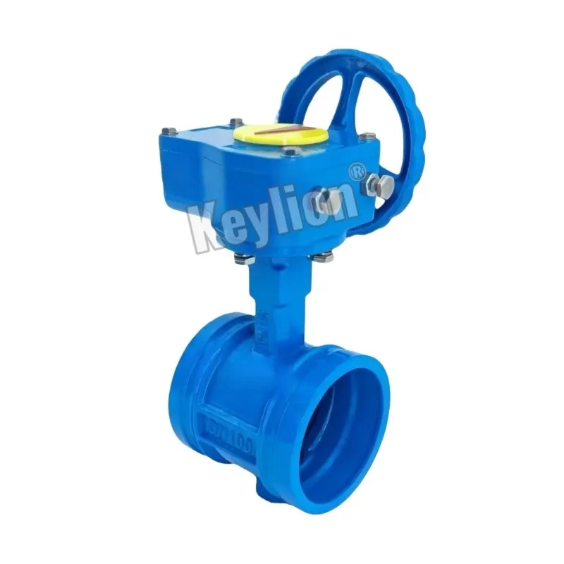 Gear Operated Butterfly Valve