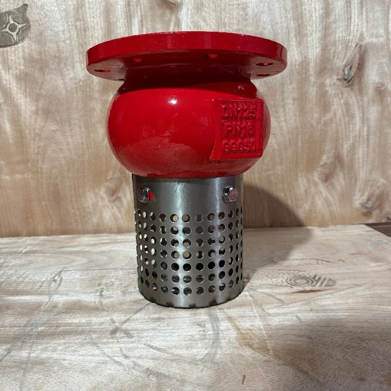 Keylion Foot Valve Keylion Foot Valve