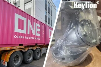 Shipment To Kazakhstan: 200pcs Stainless Steel Y-Strainers