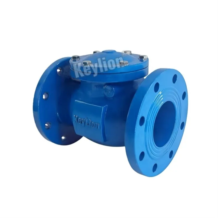 4 Inch Flanged Check Valve