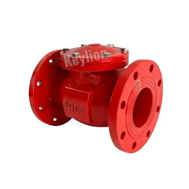 4 Inch Flanged Check Valve