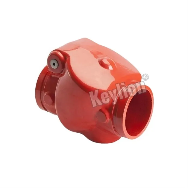 4 Inch Swing Check Valve