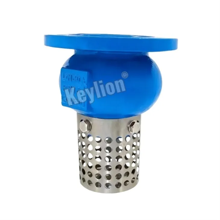 Foot Check Valve With Strainer