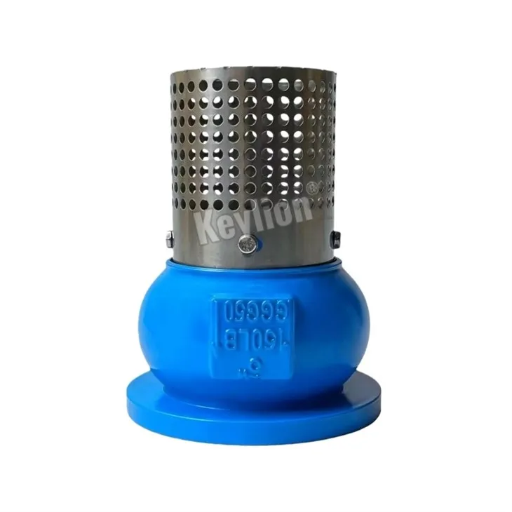 Foot Valve 10 Inch