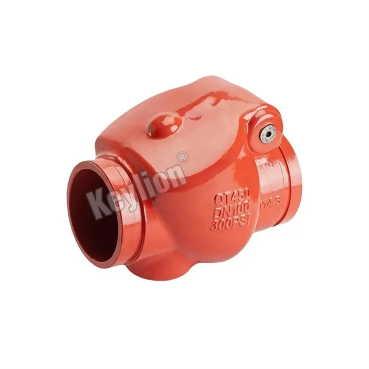 Grooved Swing Check Valve