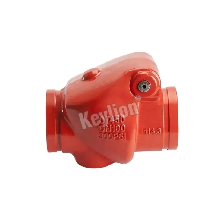 High Pressure Swing Check Valve