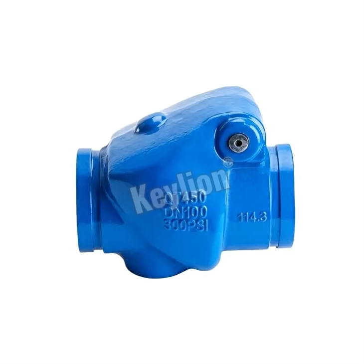 High Pressure Swing Check Valve