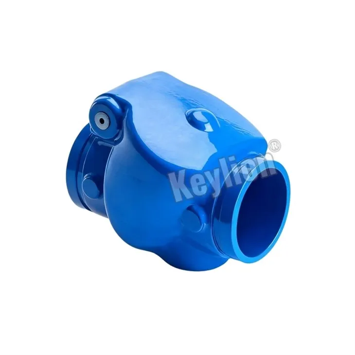 Iron Swing Check Valve