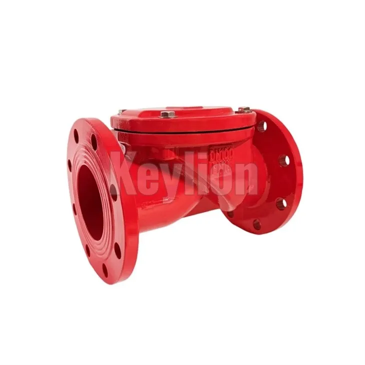 Rubber Flap Check Valve