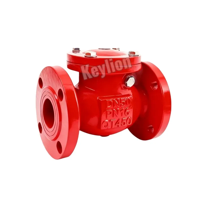 3 Inch Flanged Check Valve