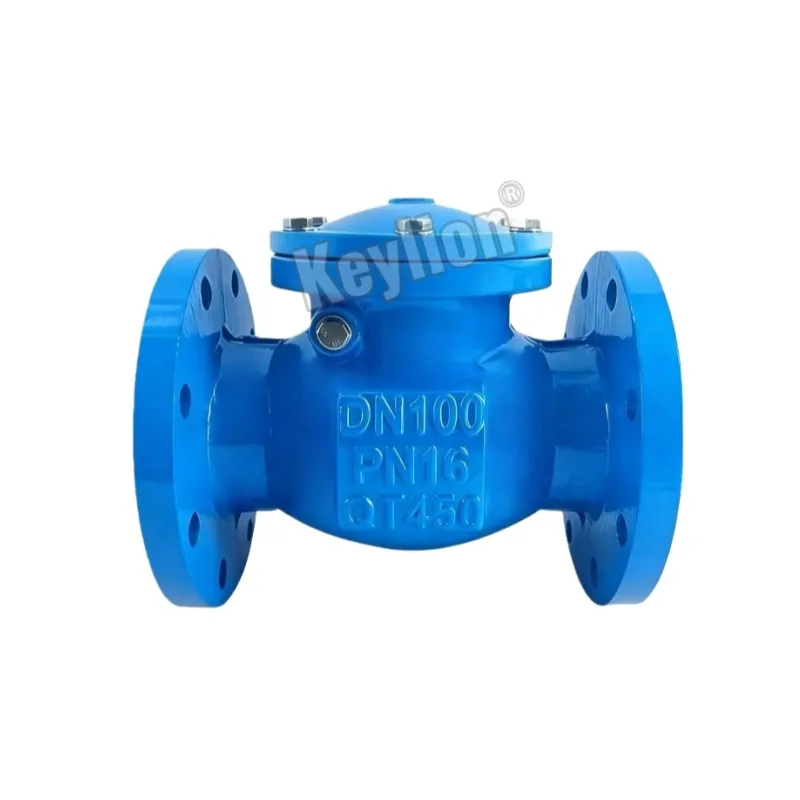 6 Inch Swing Check Valve