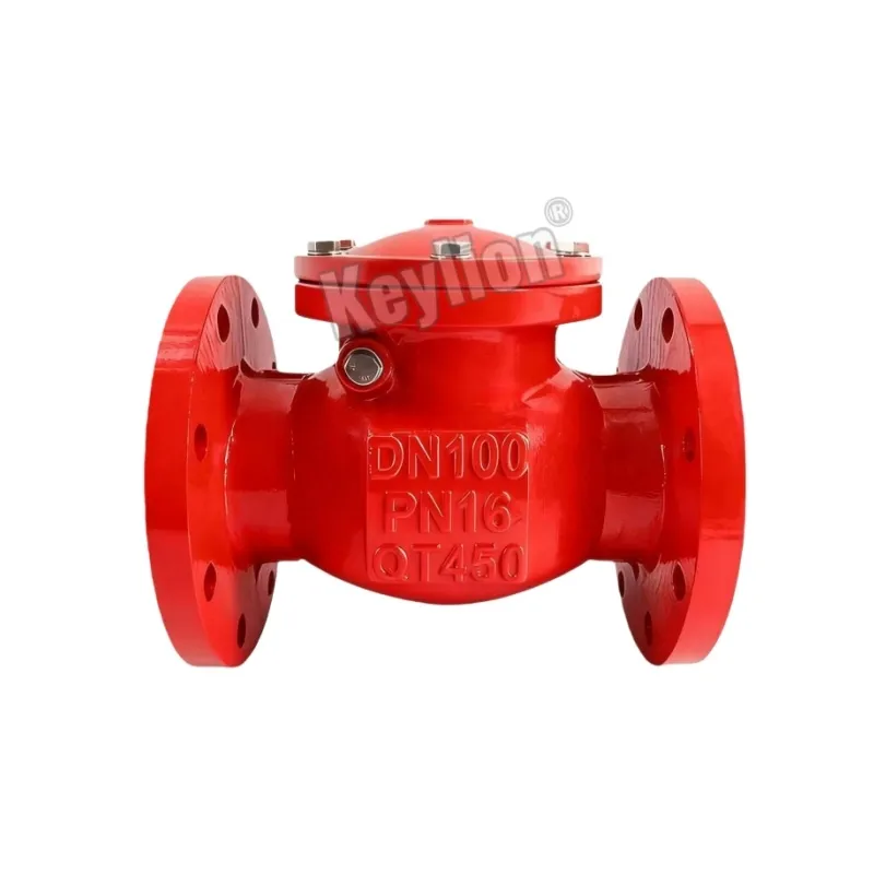Ductile Iron Swing Check Valve