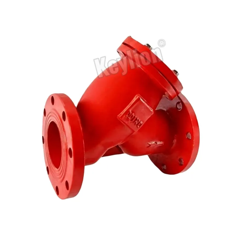 Ductile Iron Y Strainer