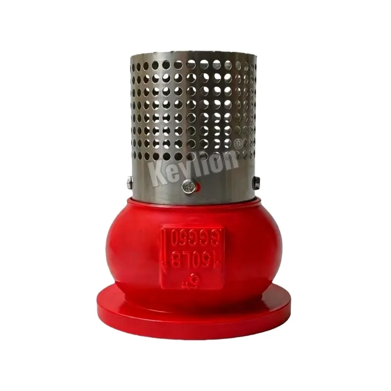 Foot Valve 10 Inch