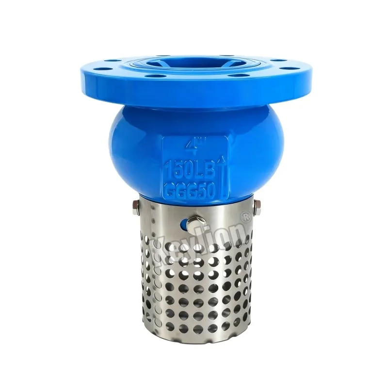 Foot Valve Flange Type