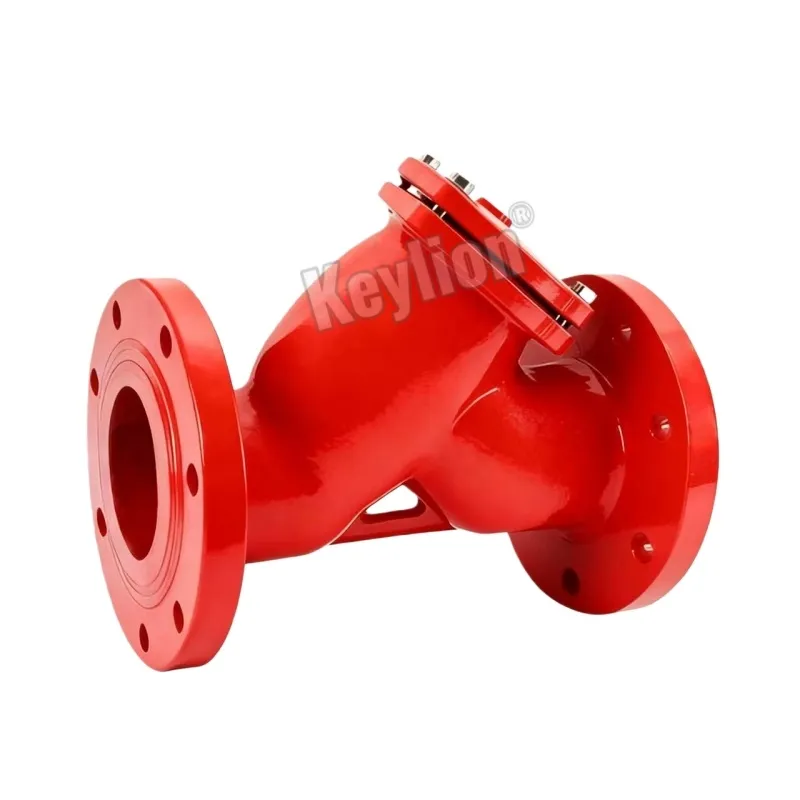 Y Type Filter Strainer