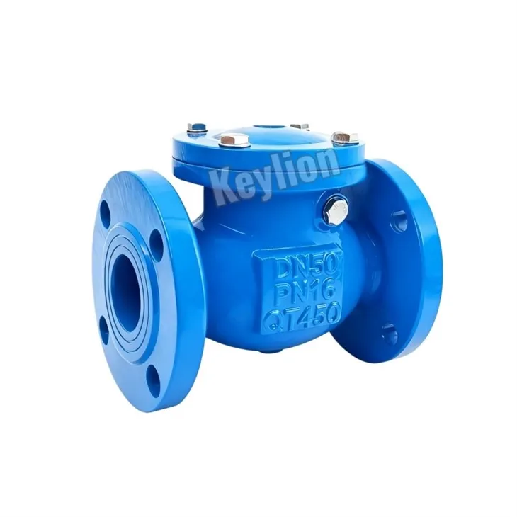 Swing Check Valve Flange Type