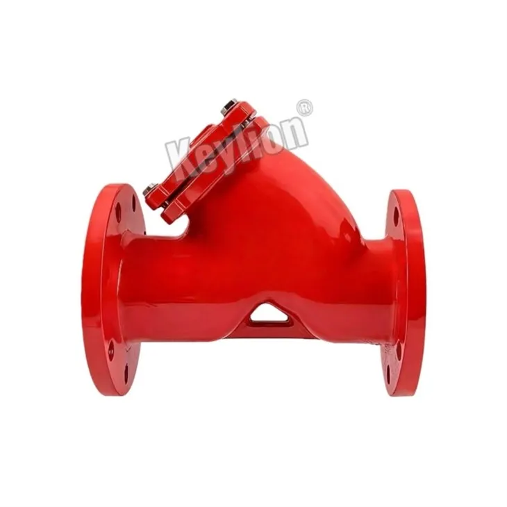 Y Strainer Pn16