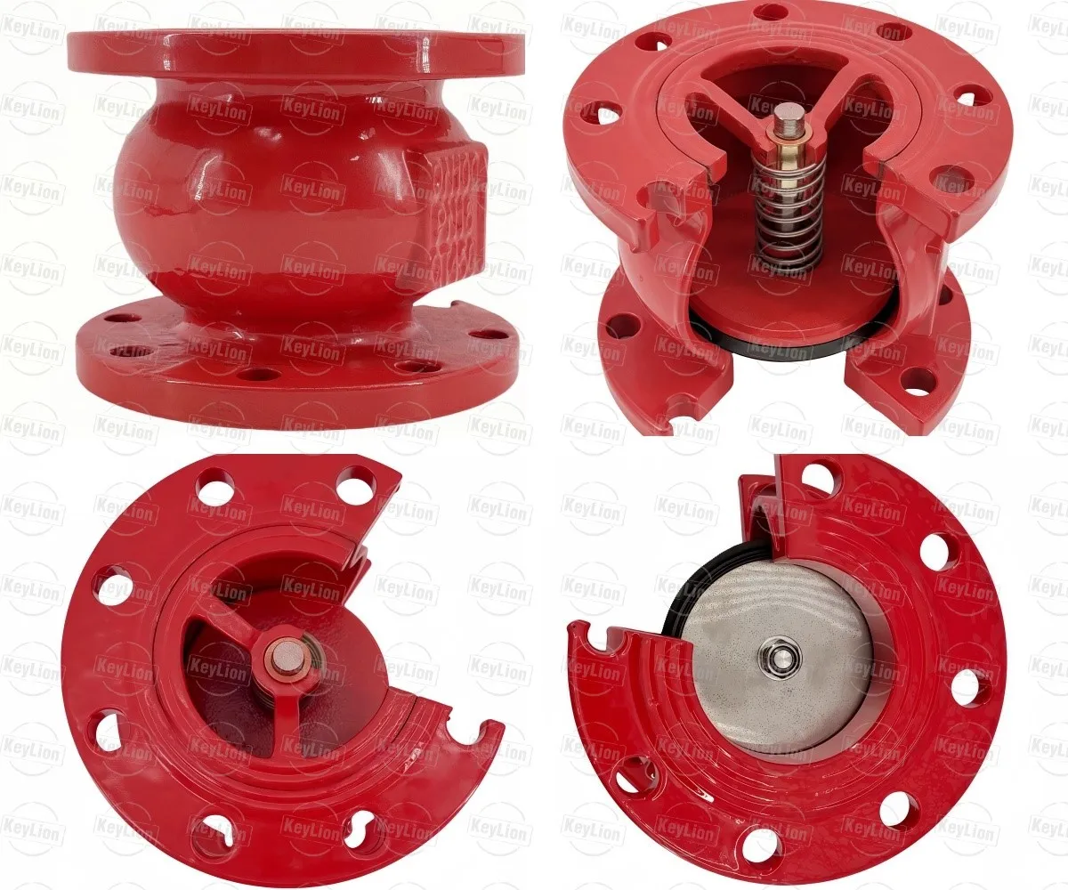 Cast Iron Silent Check Valve Cast Iron Silent Check Valve