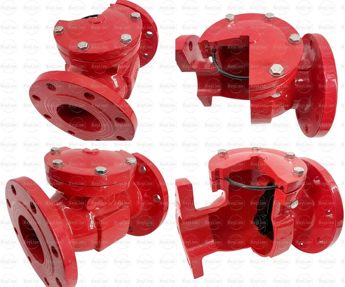 100mm Swing Check Valve 100mm Swing Check Valve
