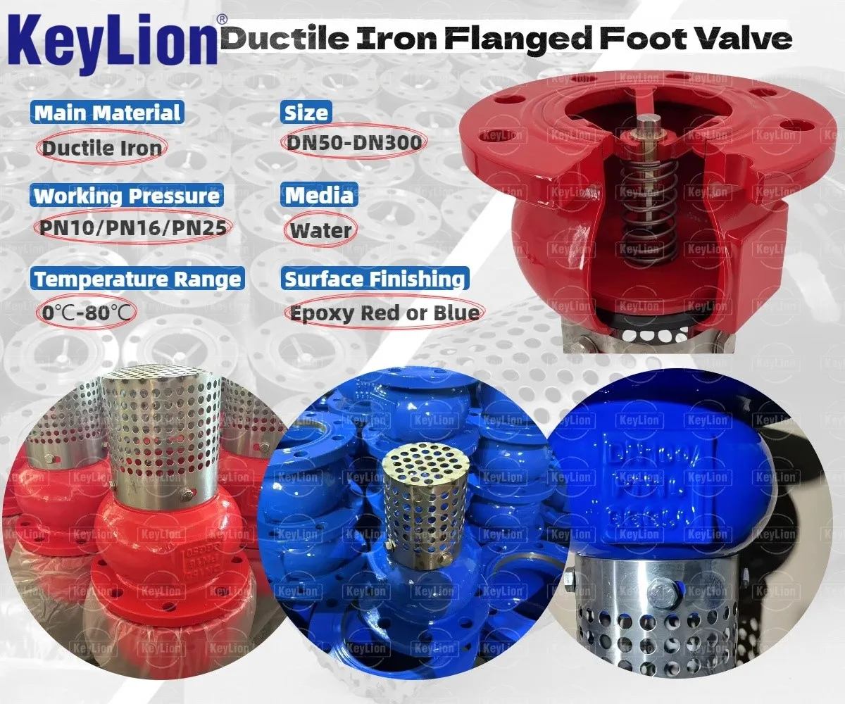 Foot Valve Flange Type Foot Valve Flange Type